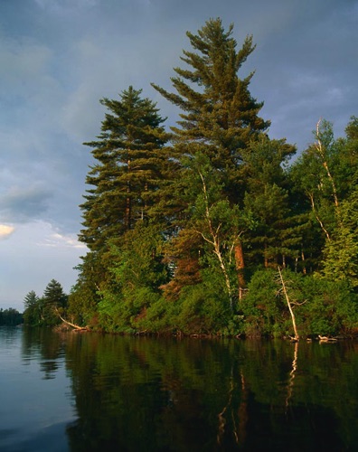 Long Pond. Adirondak Mountains, NY (MF).jpg